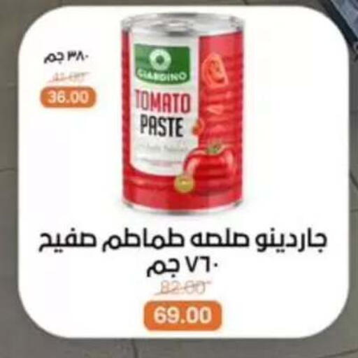 Tomato available at بيت الجملة in Egypt - القاهرة