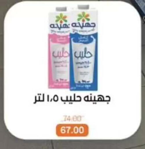 available at بيت الجملة in Egypt - القاهرة