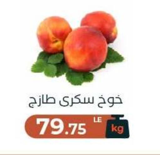 available at Arafa Market in Egypt - Cairo