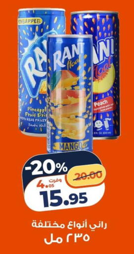 Pineapple Peach Mango available at كازيون in Egypt - القاهرة