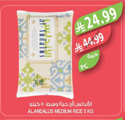 available at Farm  in KSA, Saudi Arabia, Saudi - Tabuk
