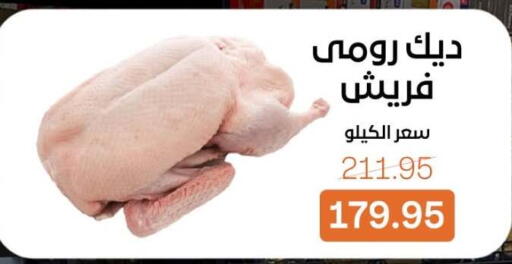 available at Beit El Gomla in Egypt - Cairo