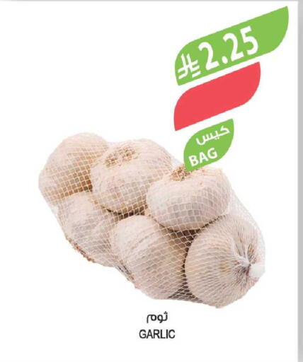 Garlic available at المزرعة in مملكة العربية السعودية, السعودية, سعودية - نجران