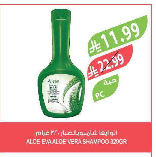 available at Farm  in KSA, Saudi Arabia, Saudi - Tabuk