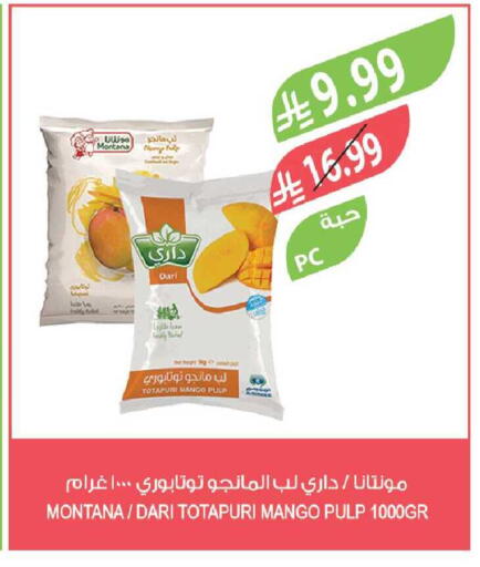Mango available at Farm  in KSA, Saudi Arabia, Saudi - Tabuk