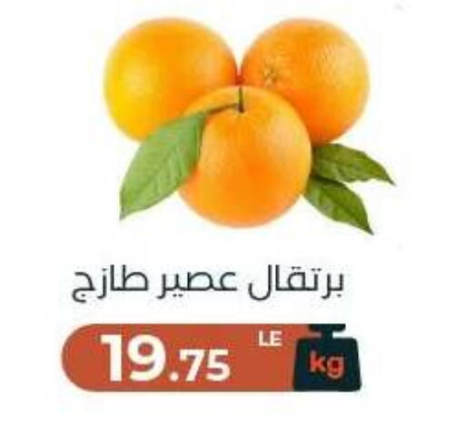 available at Arafa Market in Egypt - Cairo