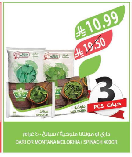 Spinach available at Farm  in KSA, Saudi Arabia, Saudi - Tabuk