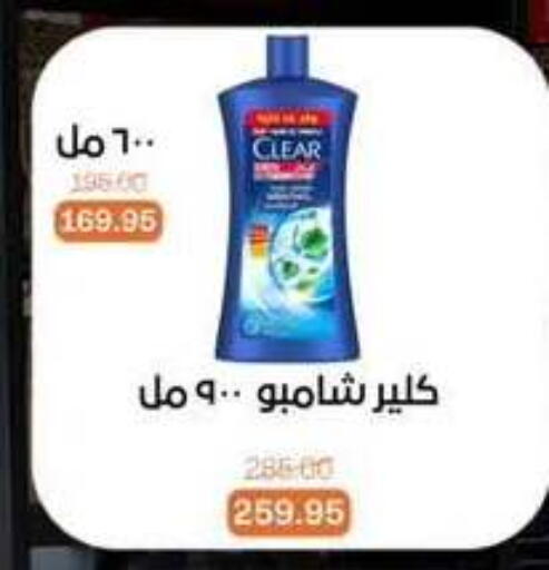 available at بيت الجملة in Egypt - القاهرة