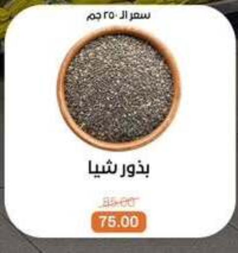 available at بيت الجملة in Egypt - القاهرة