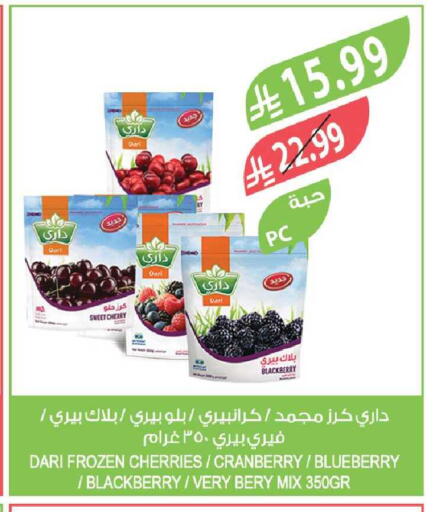 Cherry Blackberry Cranberry Blueberry BlueBerry available at Farm  in KSA, Saudi Arabia, Saudi - Tabuk