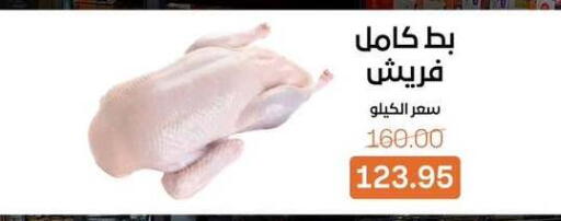 available at Beit El Gomla in Egypt - Cairo