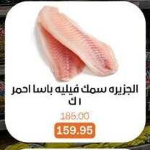 available at بيت الجملة in Egypt - القاهرة