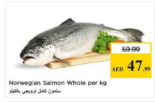 available at نستو هايبرماركت in الإمارات العربية المتحدة , الامارات - دبي