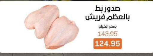 available at بيت الجملة in Egypt - القاهرة
