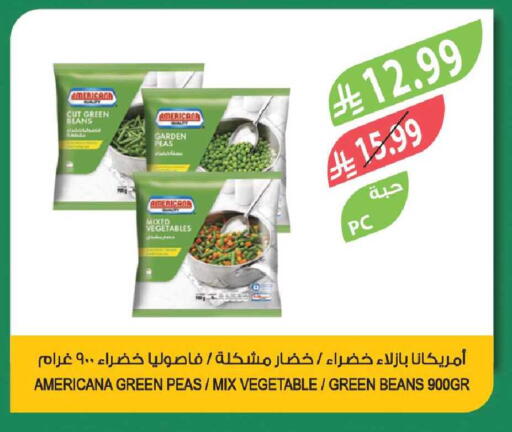 Peas available at Farm  in KSA, Saudi Arabia, Saudi - Tabuk