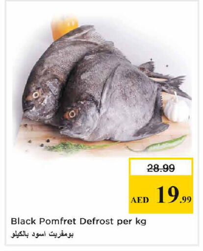 available at Nesto Hypermarket in UAE - Abu Dhabi