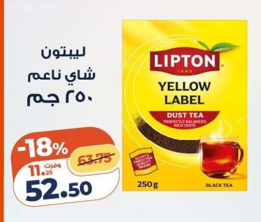 available at كازيون in Egypt - القاهرة