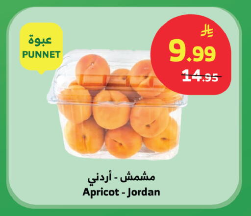 Apricot from Jordan available at Al Raya in KSA, Saudi Arabia, Saudi - Medina