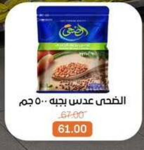available at بيت الجملة in Egypt - القاهرة