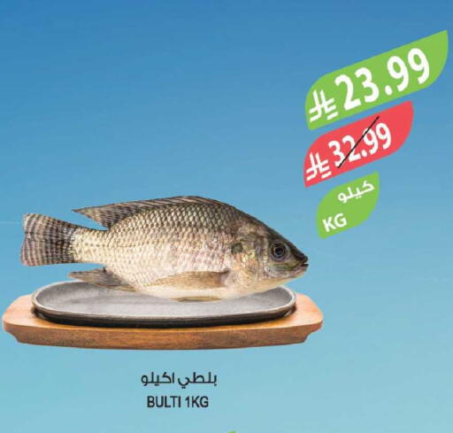 available at المزرعة in مملكة العربية السعودية, السعودية, سعودية - تبوك