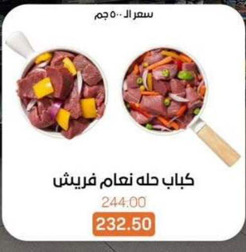 available at بيت الجملة in Egypt - القاهرة
