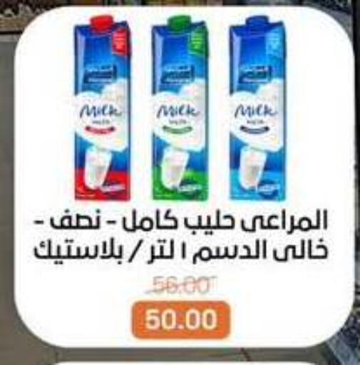 available at بيت الجملة in Egypt - القاهرة