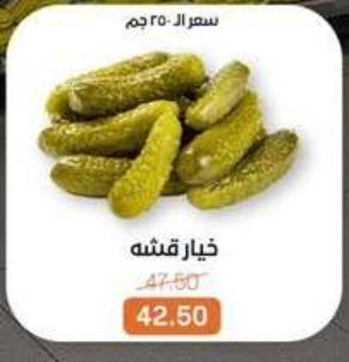 available at بيت الجملة in Egypt - القاهرة
