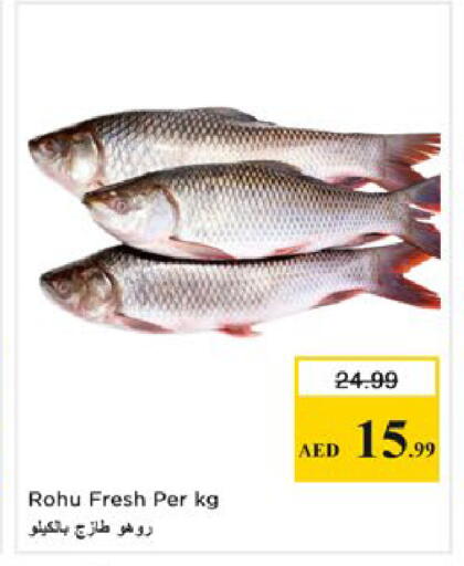 available at نستو هايبرماركت in الإمارات العربية المتحدة , الامارات - رَأْس ٱلْخَيْمَة
