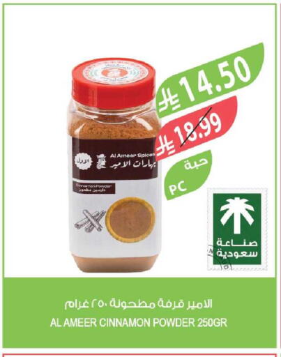 Cinnamon available at Farm  in KSA, Saudi Arabia, Saudi - Tabuk