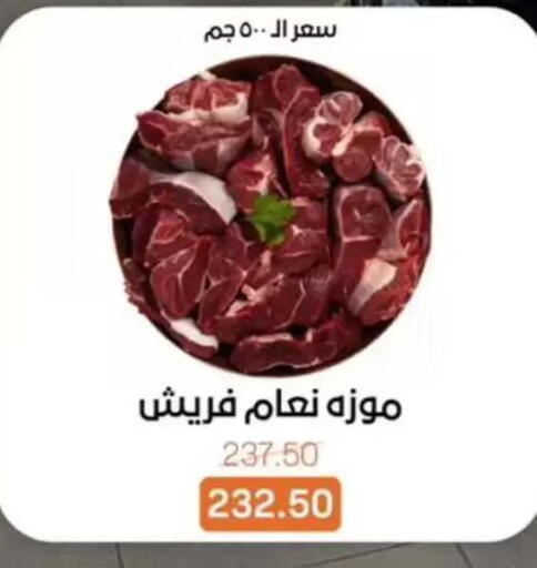 available at بيت الجملة in Egypt - القاهرة