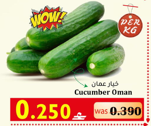 Cucumber from Oman available at Al Muzn Shopping Center in Oman - Muscat