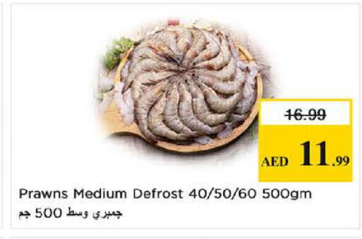 available at نستو هايبرماركت in الإمارات العربية المتحدة , الامارات - دبي