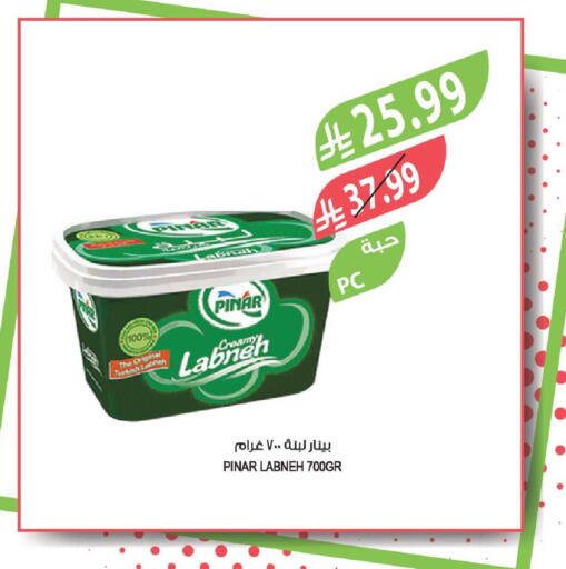 available at Farm  in KSA, Saudi Arabia, Saudi - Tabuk