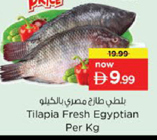 available at نستو هايبرماركت in الإمارات العربية المتحدة , الامارات - رَأْس ٱلْخَيْمَة