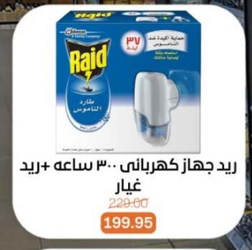 available at بيت الجملة in Egypt - القاهرة