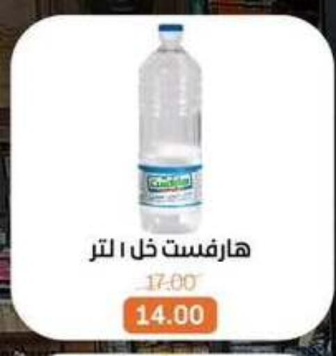 available at بيت الجملة in Egypt - القاهرة