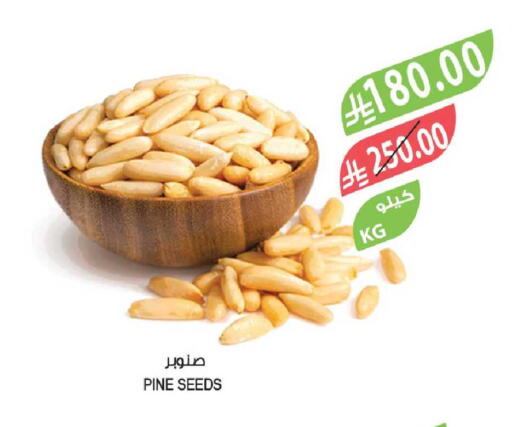 available at Farm  in KSA, Saudi Arabia, Saudi - Tabuk