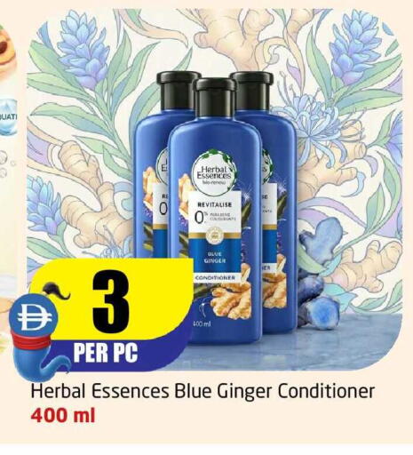 Ginger available at مركز دلتا in الإمارات العربية المتحدة , الامارات - الشارقة / عجمان
