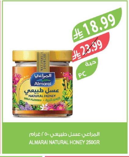 available at المزرعة in مملكة العربية السعودية, السعودية, سعودية - نجران