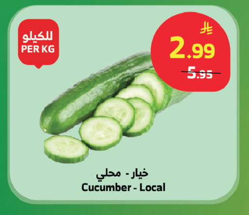 Cucumber available at الراية in مملكة العربية السعودية, السعودية, سعودية - نجران
