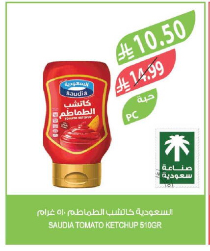 Tomato available at Farm  in KSA, Saudi Arabia, Saudi - Yanbu
