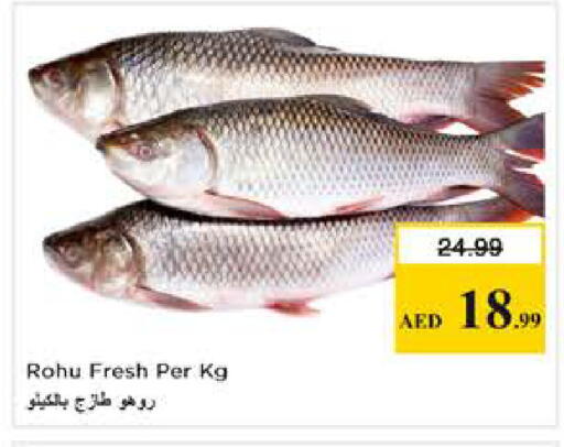 available at نستو هايبرماركت in الإمارات العربية المتحدة , الامارات - دبي