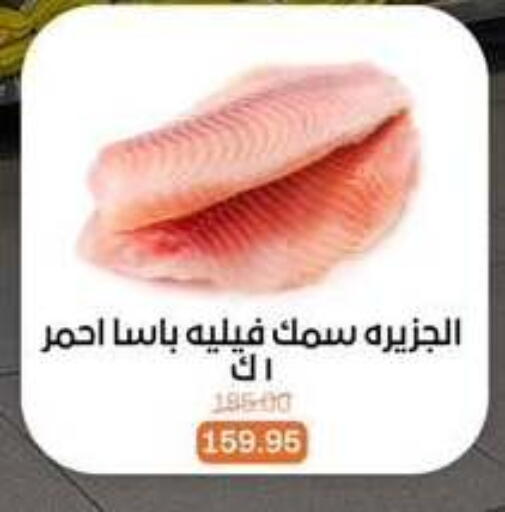 available at بيت الجملة in Egypt - القاهرة