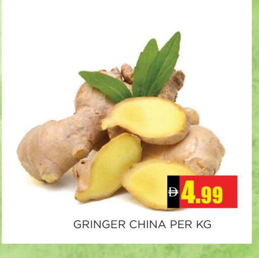 from China available at اينس المدينة هايبرماركت in الإمارات العربية المتحدة , الامارات - الشارقة / عجمان