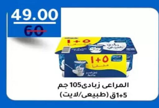 available at Wekalet Elmansoura - Dakahlia  in Egypt - Cairo
