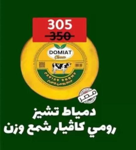 available at Wekalet Elmansoura - Dakahlia  in Egypt - Cairo