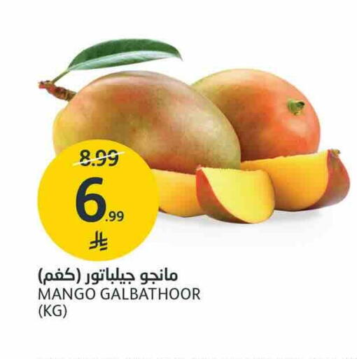 Mango available at AlJazera Shopping Center in KSA, Saudi Arabia, Saudi - Riyadh