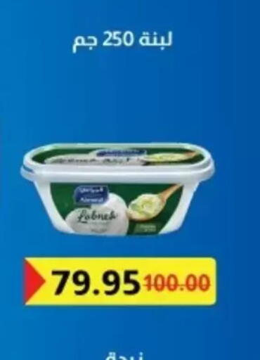 available at Bashayer hypermarket in Egypt - Cairo