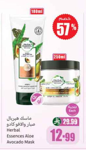 Avocado available at Othaim Markets in KSA, Saudi Arabia, Saudi - Jeddah