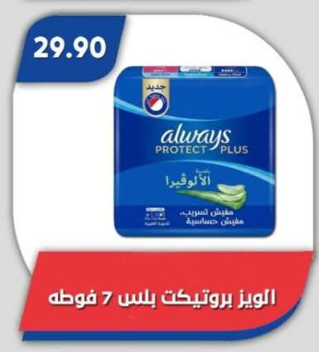 available at Bassem Market in Egypt - Cairo